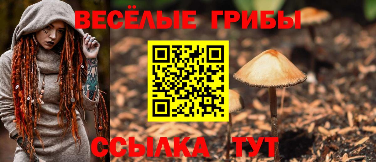 Галлюциногенные грибы Magic Shrooms  Галлюциногенные грибы мицелий  Вход с VPN  Кисловодск 