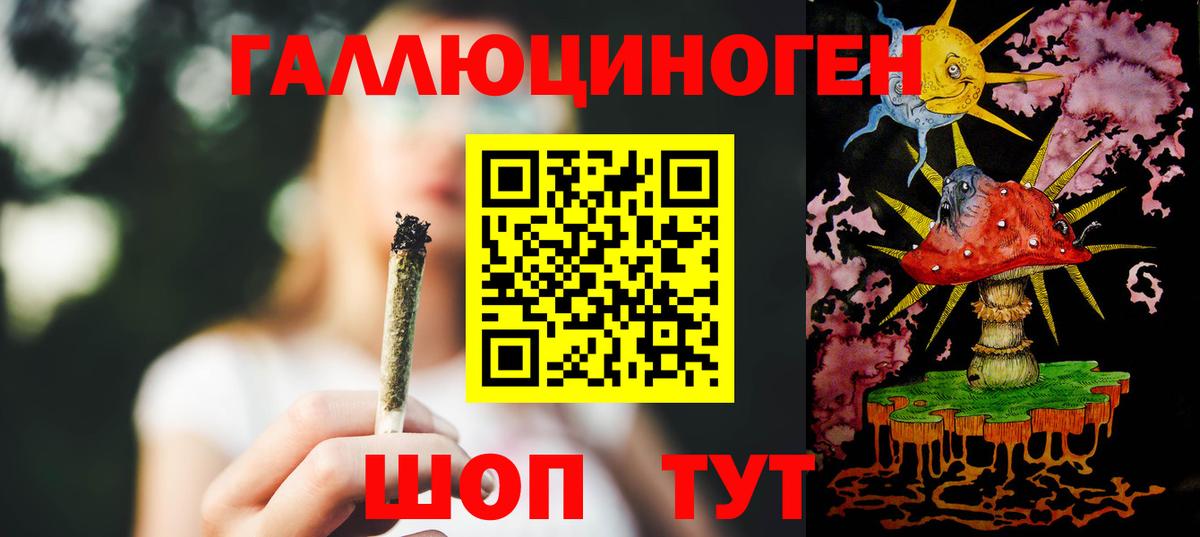 Псилоцибиновые грибы Psilocybe Кисловодск